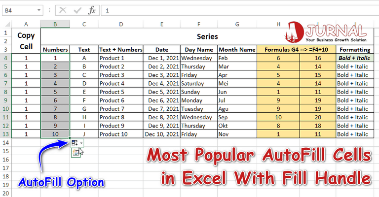 excel autofill icon